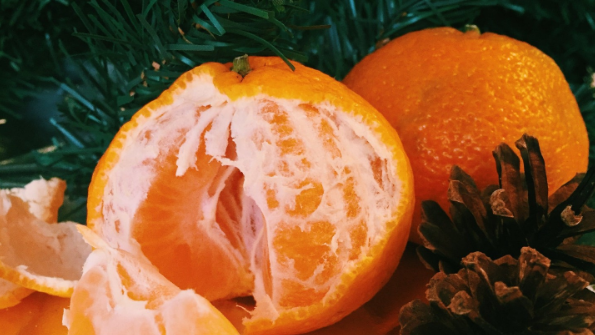 Christmas citrus