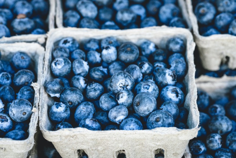 Blueberry punnets