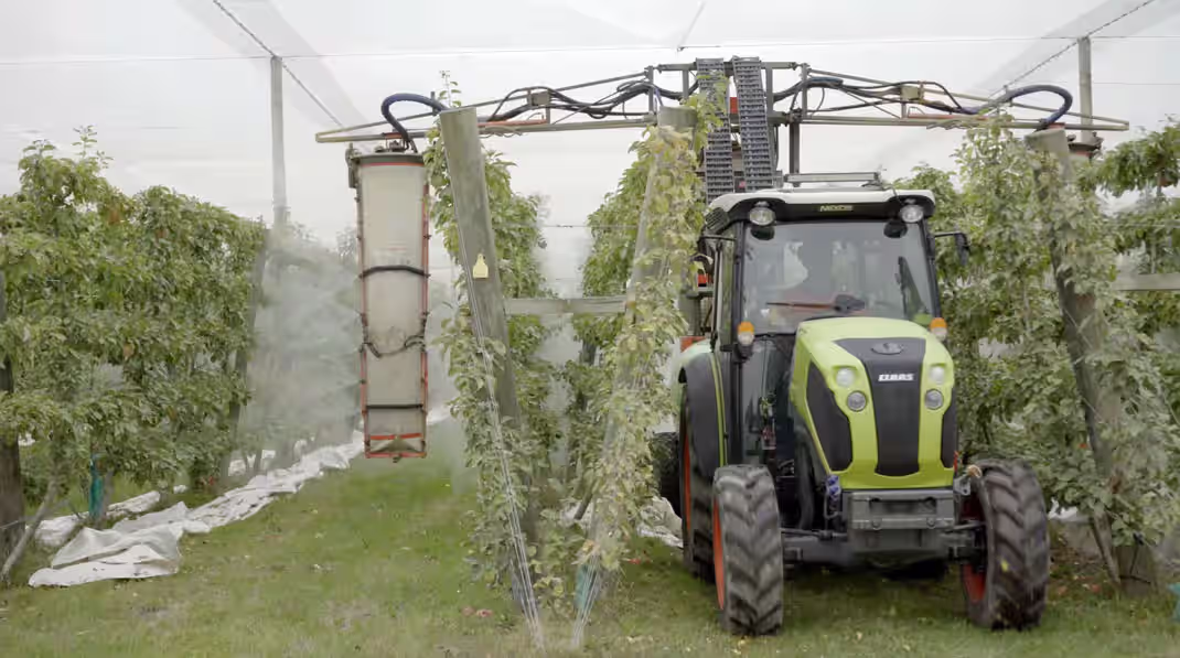 Green tractor being driven between apple trees in an orchard being sprayed with an overhead spray rig